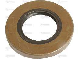 RETEN (60X90X11 MM) (MOREL)